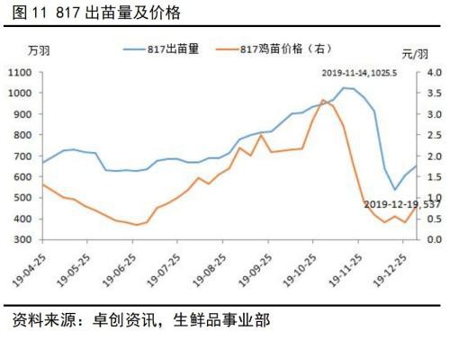 新型冠状病毒对蛋鸡行业的影响