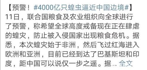 4000亿只蝗虫肆虐亚非大陆！会危及中国吗？A股借机炒了一把……