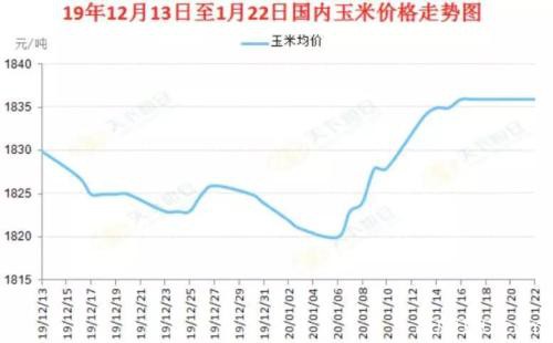 冠状病毒肆虐 节后玉米怎么做？