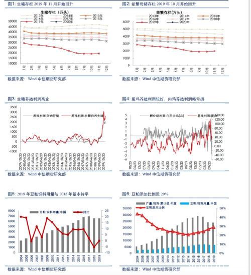 蛋白粕漂亮的V型反转开始了？