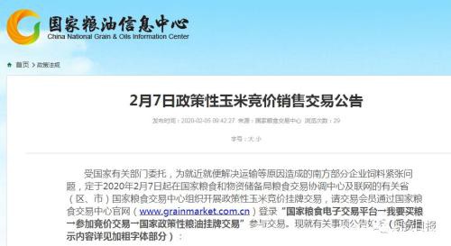 296万吨政策性玉米来了！2月7日竞价挂牌交易