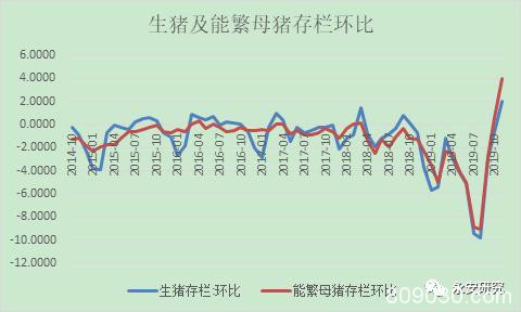 疫情对玉米、玉米淀粉行情的影响