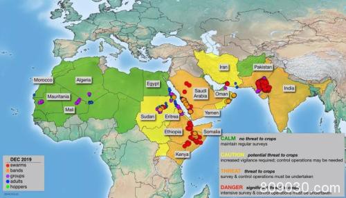 非洲蝗灾专题：对全球主粮的产量影响有限