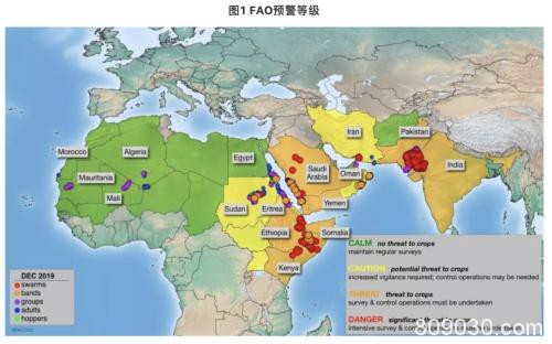 一波未平一波又起：非洲25年最大蝗灾袭来 全球粮食格局生变？