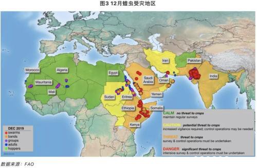 一波未平一波又起：非洲25年最大蝗灾袭来 全球粮食格局生变？