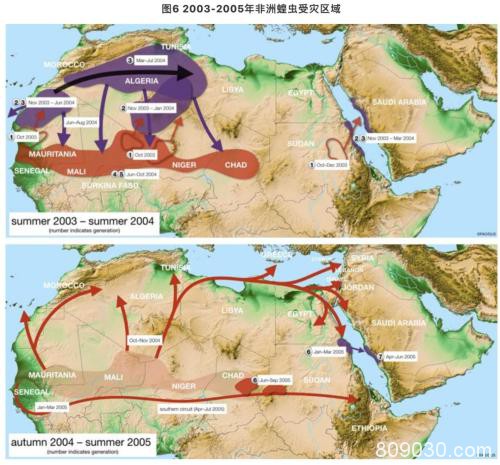 一波未平一波又起：非洲25年最大蝗灾袭来 全球粮食格局生变？