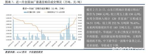 豆粕周报 连粕为何反弹乏力？