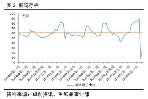 鸡蛋期货盘面大幅下跌 市场后市推演