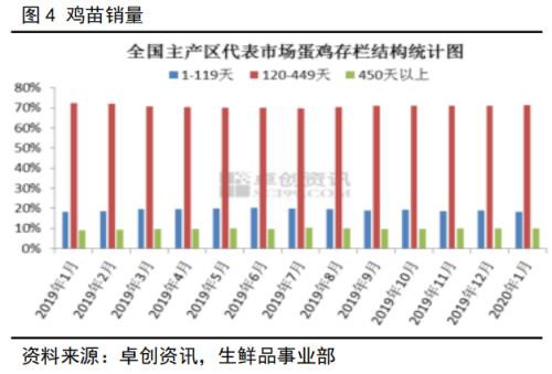 鸡蛋期货盘面大幅下跌 市场后市推演