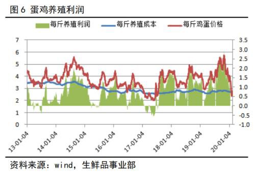 鸡蛋期货盘面大幅下跌 市场后市推演