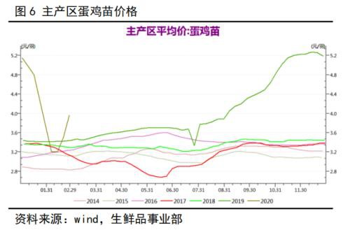 鸡蛋期货盘面大幅下跌 市场后市推演