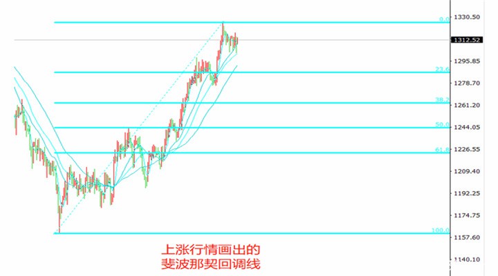 在炒黄金过程中如何高效利用斐波那契回调线？