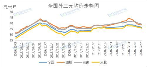 行情回落 猪价跌跌不休