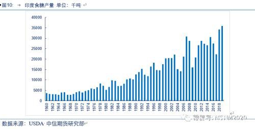 沙漠蝗虫对印、巴及全球农业影响分析