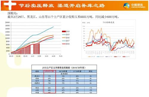 玉米主力换月 关注买预期行情