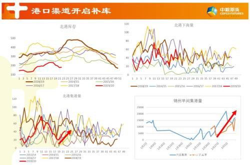 玉米主力换月 关注买预期行情