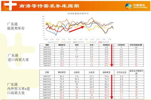 玉米主力换月 关注买预期行情