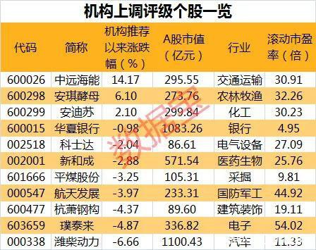 逆势上涨！这类股最抗跌 本周机构最看好它们（股）