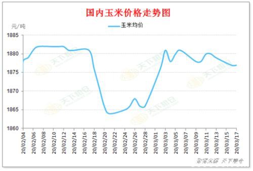 国际金融市场惨遭滑铁卢 国内外玉米价格走势将如何？