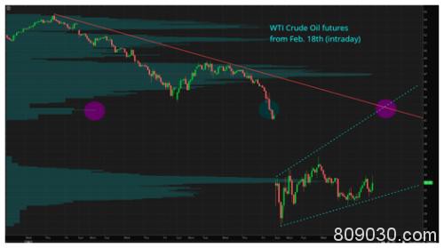 黑天鹅惊起 WTI原油期货放量暴跌