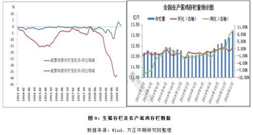 多重因素共振影响 国内豆粕期货涨停