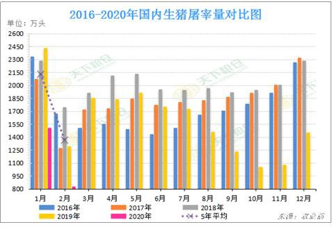 疫情之下美国瘦肉猪剧烈震荡而中国进口量大增 后市将如何？