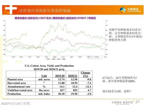 新冠疫情影响下的棉花（纱）市场分析与风险管理