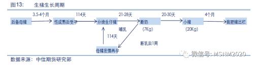 一“粕”难求还能走多远？