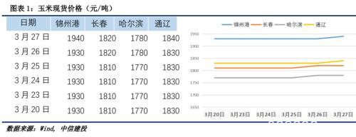 玉米多头力量强劲 盘面再次突破