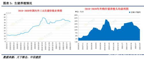 玉米多头力量强劲 盘面再次突破