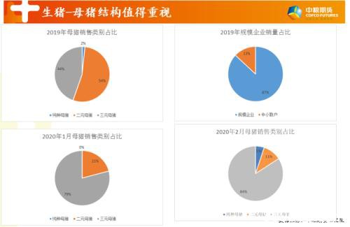 论生猪市场迷人眼：存栏增加与补栏需求