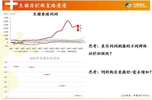 论生猪市场迷人眼：存栏增加与补栏需求