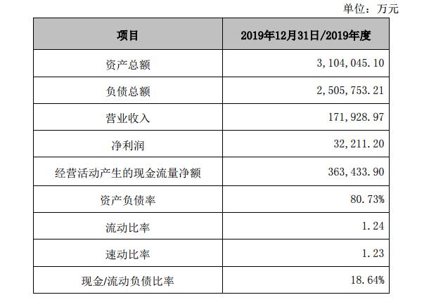  新世纪公司最近一年主要财务数据（合并报表，未经审计）