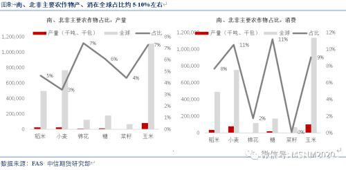 深度解析：疫情+虫害+天气三重影响下 全球出现粮荒概率有多大？