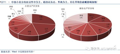 深度解析：疫情+虫害+天气三重影响下 全球出现粮荒概率有多大？