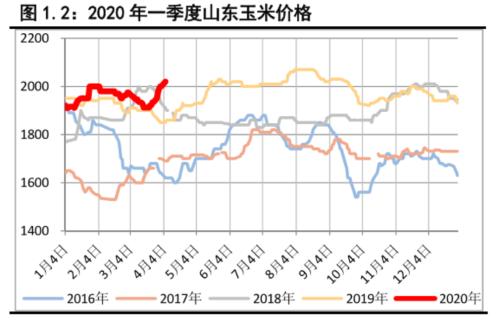 玉米 ・ 疫情支撑价格，拍卖或成分水岭丨二季报