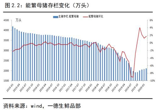 生猪存栏持续回升 猪价进入下跌通道