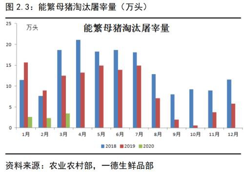 生猪存栏持续回升 猪价进入下跌通道