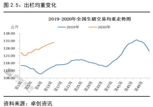 生猪存栏持续回升 猪价进入下跌通道