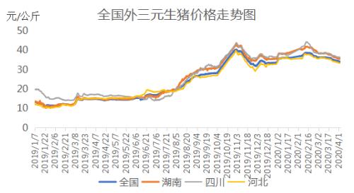 Myagric：全国生猪供应局面向好 生猪价格或将再度降温