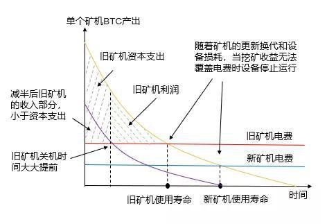 4万人爆仓！比特币“减半”利好落定 暴涨却未如期而至