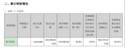 史上首例！辉丰转债突然暂停上市 投资者转股亏74% 不转可能被违约？