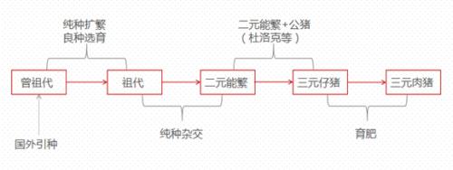 生猪作为我国价值最大的农副产品，即将登上商品期货的舞台！关于生猪产业，看这一篇就够了！