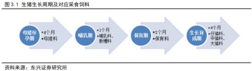 生猪作为我国价值最大的农副产品，即将登上商品期货的舞台！关于生猪产业，看这一篇就够了！