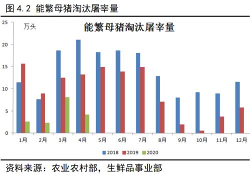 生猪作为我国价值最大的农副产品，即将登上商品期货的舞台！关于生猪产业，看这一篇就够了！