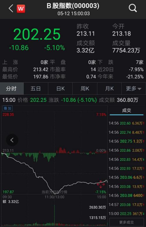 刚刚，B股集体崩了！背后“元凶”可能是这个：借用他人账户炒股，组团打新，都要进 “黑名单”？最高罚款