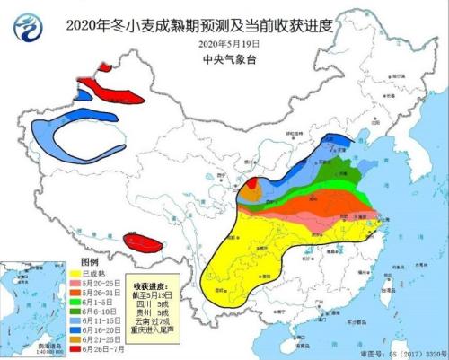 【中粮视点】小麦：夏粮丰产上市 季节性卖压仍存