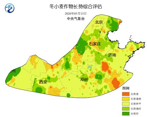 【中粮视点】小麦：夏粮丰产上市 季节性卖压仍存