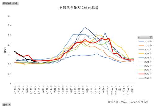 美国干旱和印巴蝗虫对棉花的影响