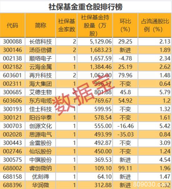 国家队重仓股曝光 社保、养老金同时盯上两股